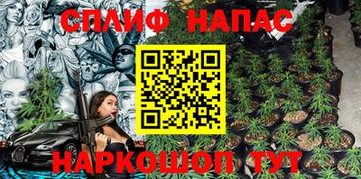 индика Лесосибирск