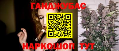 индика Лесосибирск