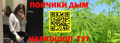 индика Лесосибирск