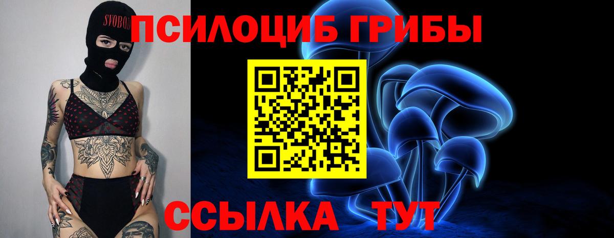 Галлюциногенные грибы мухоморы Тайшет