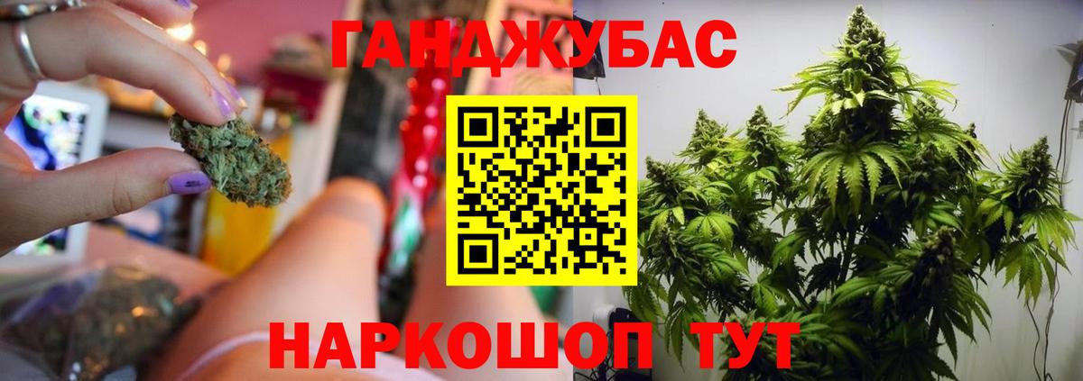 Шишки марихуана Amnesia  Марихуана план  Вход с VPN  Бошки марихуана AK-47  Тайшет  МАРИХУАНА Ganja 